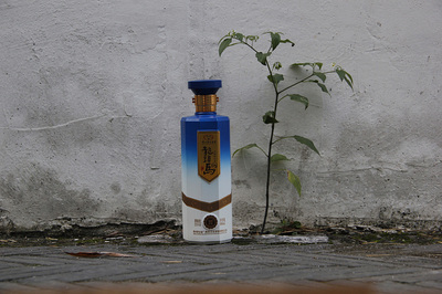 龍頭馬品牌形象與文化創意策劃 包裝設計與營銷策略融合