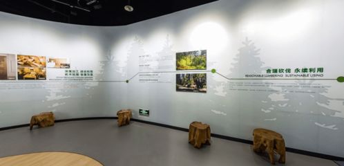 識(shí)木之魂，聞木之香，愛(ài)木之藝，用木之智——萬(wàn)林木文化展示館設(shè)計(jì)鑒賞